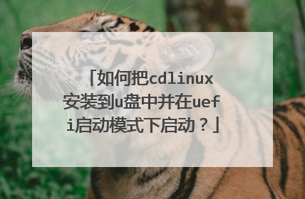 如何把cdlinux安装到u盘中并在uefi启动模式下启动?