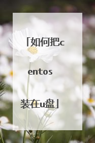 如何把centos装在u盘