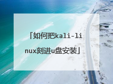 如何把kali-linux刻进u盘安装