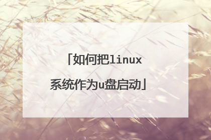 如何把linux系统作为u盘启动