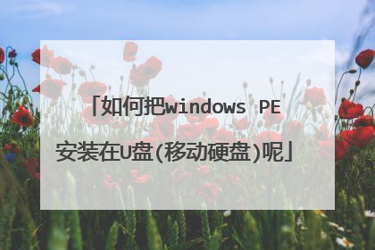 如何把windows PE安装在U盘(移动硬盘)呢