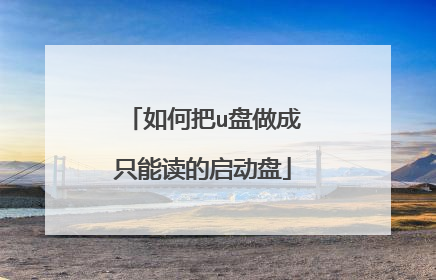 如何把u盘做成只能读的启动盘