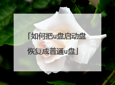 如何把u盘启动盘恢复成普通u盘