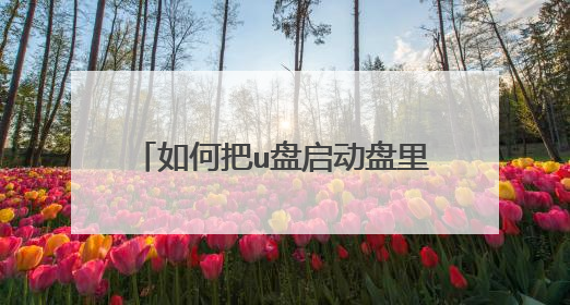 如何把u盘启动盘里的镜像制作成iso