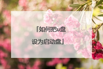 如何把u盘设为启动盘