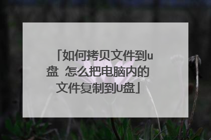 如何拷贝文件到u盘 怎么把电脑内的文件复制到U盘