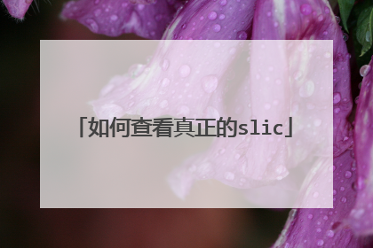 如何查看真正的slic