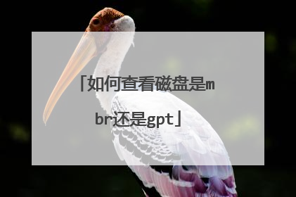 如何查看磁盘是mbr还是gpt