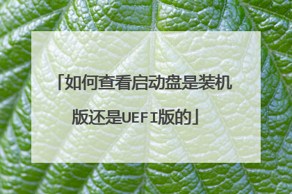 如何查看启动盘是装机版还是UEFI版的