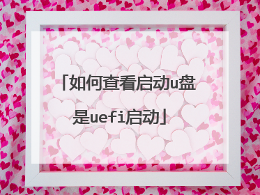 如何查看启动u盘是uefi启动