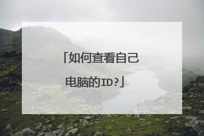 如何查看自己电脑的ID?