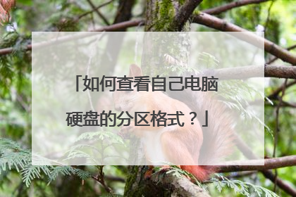 如何查看自己电脑硬盘的分区格式?