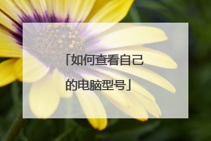 如何查看自己的电脑型号