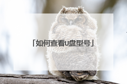 如何查看U盘型号