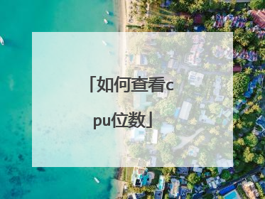 如何查看cpu位数