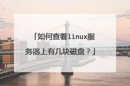 如何查看linux服务器上有几块磁盘?
