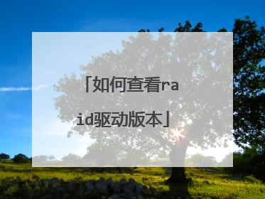 如何查看raid驱动版本