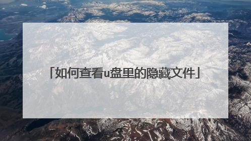 如何查看u盘里的隐藏文件