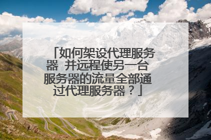 如何架设代理服务器 并远程使另一台服务器的流量全部通过代理服务器?