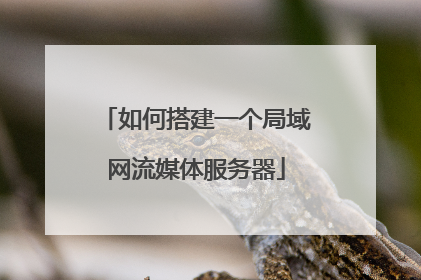 如何搭建一个局域网流媒体服务器