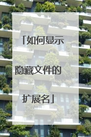 如何显示隐藏文件的扩展名