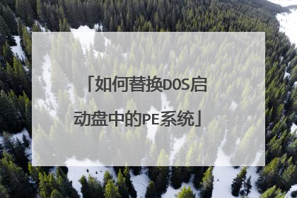如何替换DOS启动盘中的PE系统