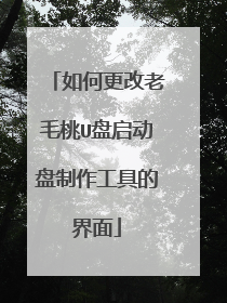 如何更改老毛桃U盘启动盘制作工具的界面