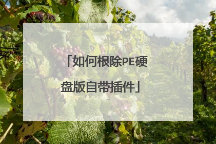 如何根除PE硬盘版自带插件