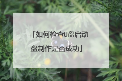 如何检查U盘启动盘制作是否成功