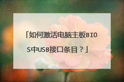 如何激活电脑主板BIOS中USB接口条目?
