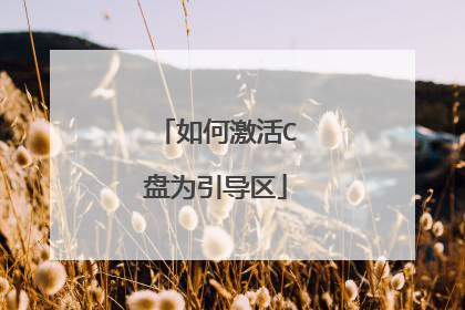 如何激活C盘为引导区
