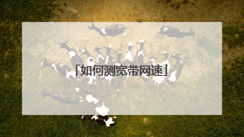 如何测宽带网速