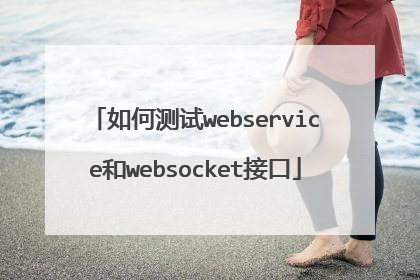 如何测试webservice和websocket接口
