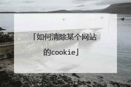 如何清除某个网站的cookie