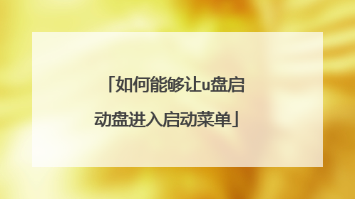 如何能够让u盘启动盘进入启动菜单