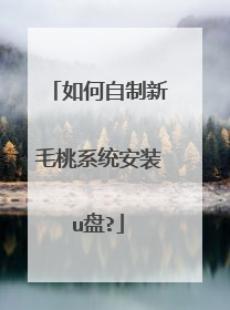 如何自制新毛桃系统安装u盘?
