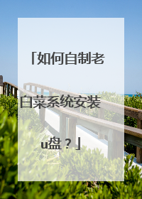 如何自制老白菜系统安装u盘？