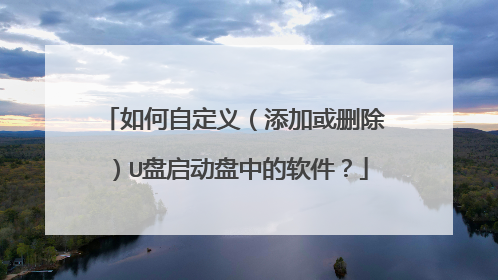 如何自定义（添加或删除）U盘启动盘中的软件？
