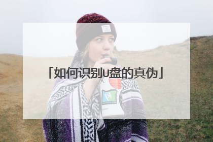 如何识别U盘的真伪
