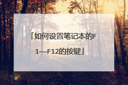 如何设置笔记本的F1——F12的按键
