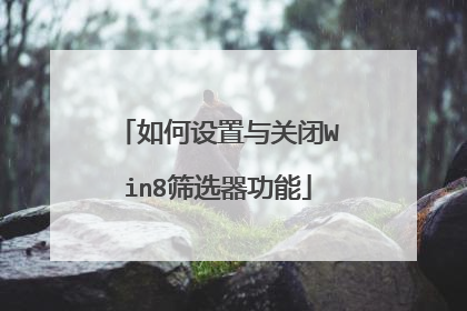 如何设置与关闭Win8筛选器功能