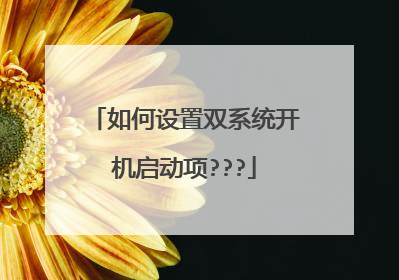 如何设置双系统开机启动项???