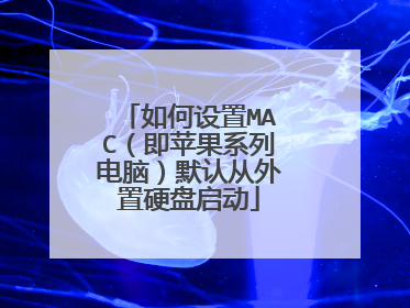 如何设置MAC(即苹果系列电脑)默认从外置硬盘启动