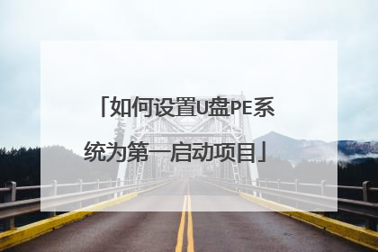 如何设置U盘PE系统为第一启动项目