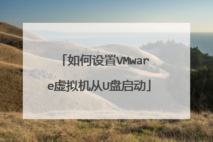 如何设置VMware虚拟机从U盘启动