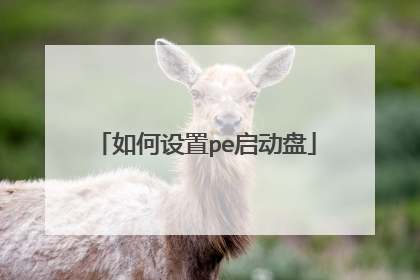 如何设置pe启动盘