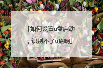 如何设置u盘启动，识别不了u盘啊