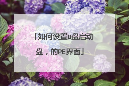 如何设置u盘启动盘,的PE界面
