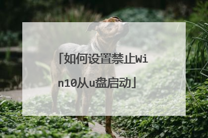 如何设置禁止Win10从u盘启动