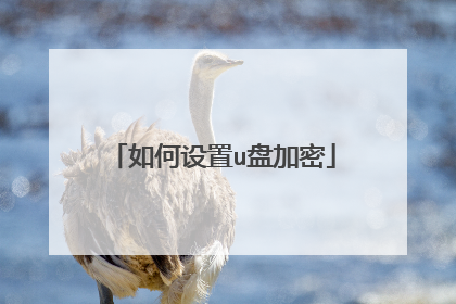 如何设置u盘加密
